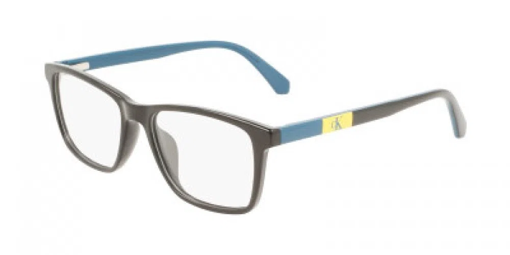 CALVIN KLEIN JEANS CKJ22302 Eyeglasses - view 3